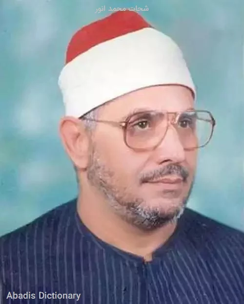 شحات محمد انور